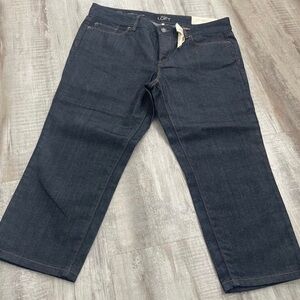 LOFT Ann Taylor Modern Crop Jeans Size 12p